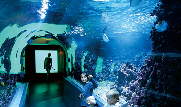 挪威卑尔根水族馆